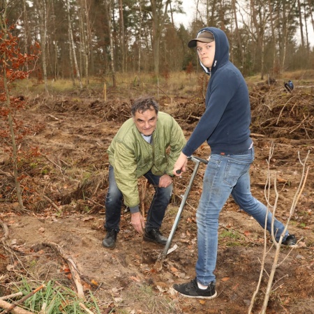 Größeres Bild ansehen
